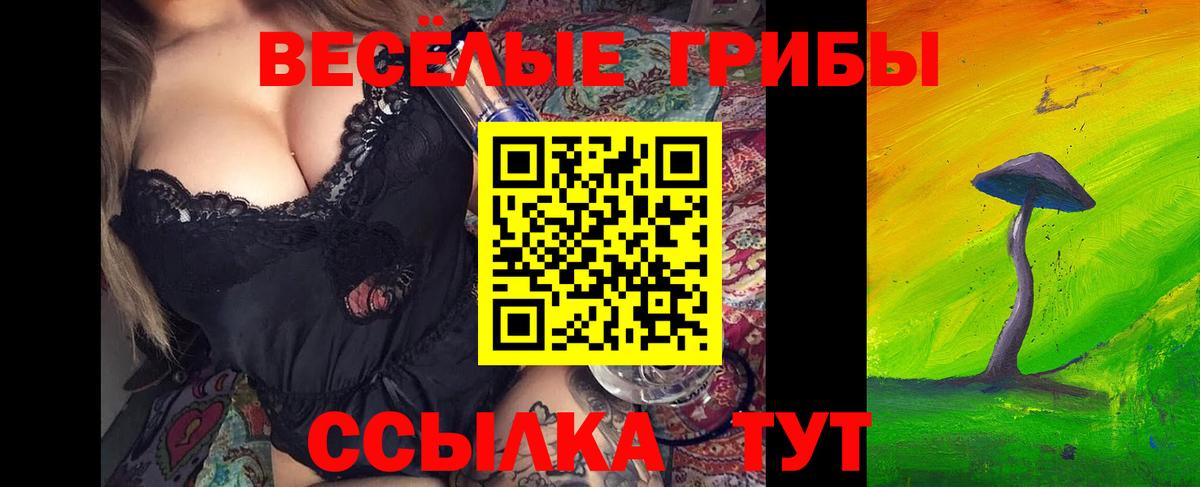 Ухта  Псилоцибиновые грибы мицелий  Вход с VPN 